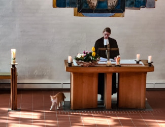 2022-03-13 Gottesdienst mit Dekanin Dagmar Häfner-Becker und Katze