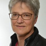 Zellfelder (2019)